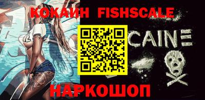 индика Пенза