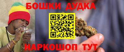 индика Пенза