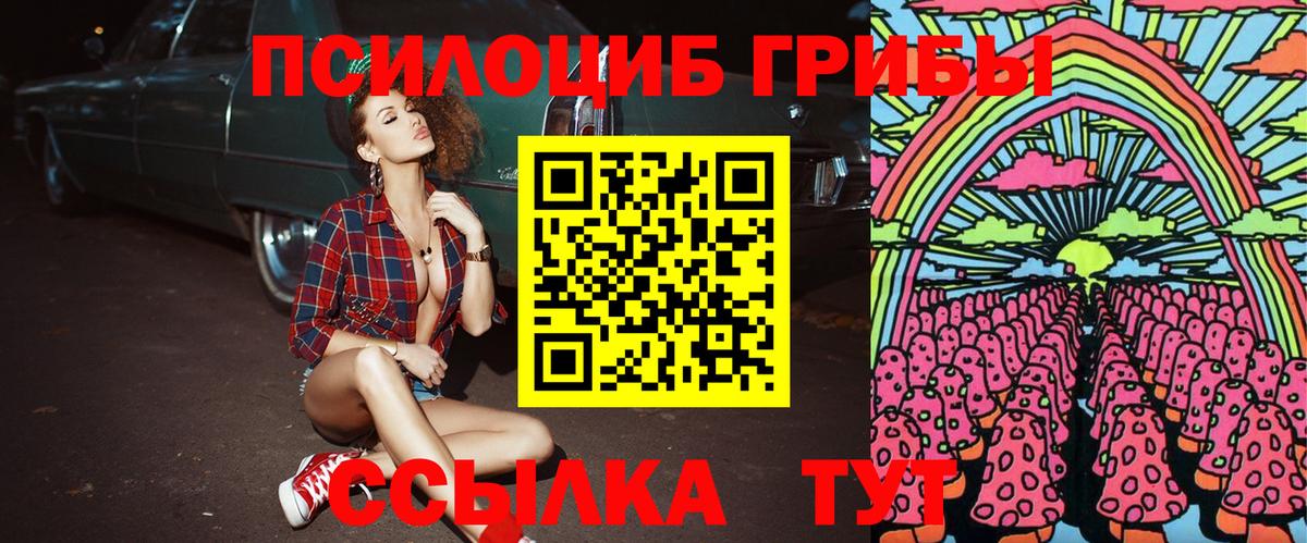 Галлюциногенные грибы прущие грибы  Галлюциногенные грибы прущие грибы  Славянск-на-Кубани  как найти   Вход с VPN 